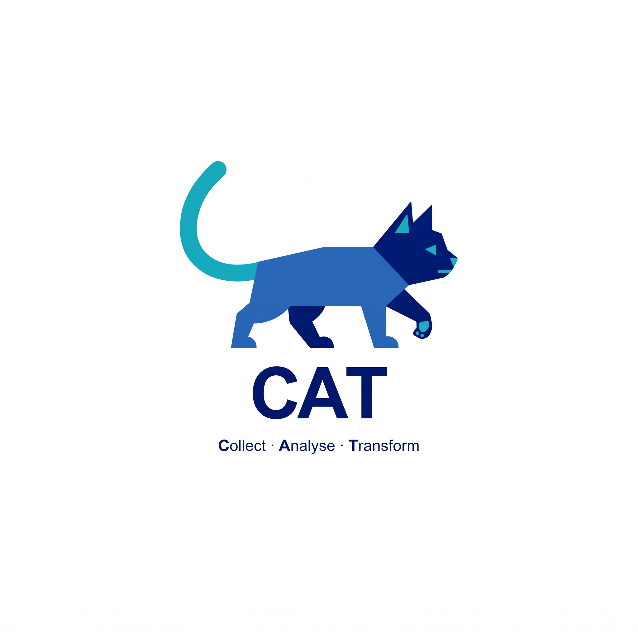 CAT · Collect · Analyse · Transform